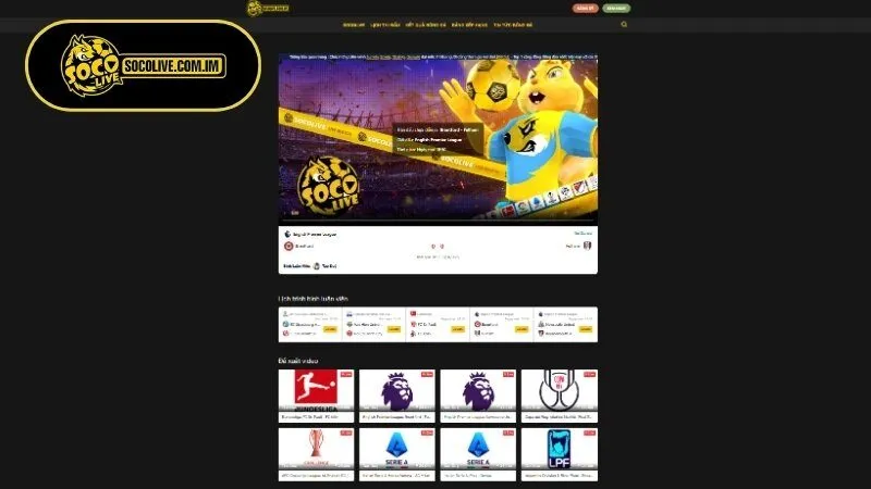 Hướng dẫn xem các giải đấu trên Socolive nhanh chóng